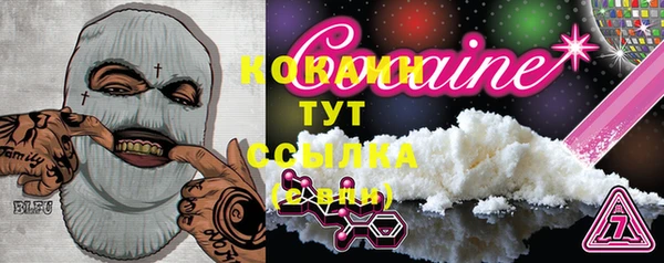 соль курить ск Бородино